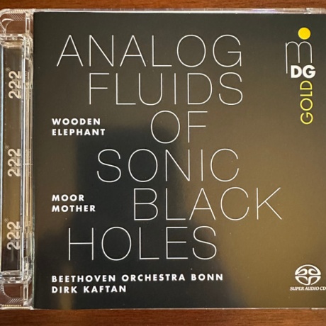 Analog Fluids Of Sonic Black Holes