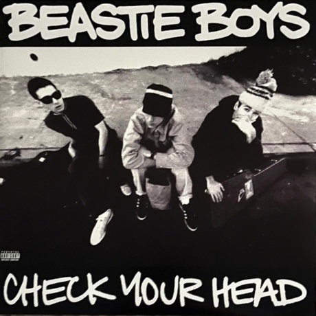 Check Your Head