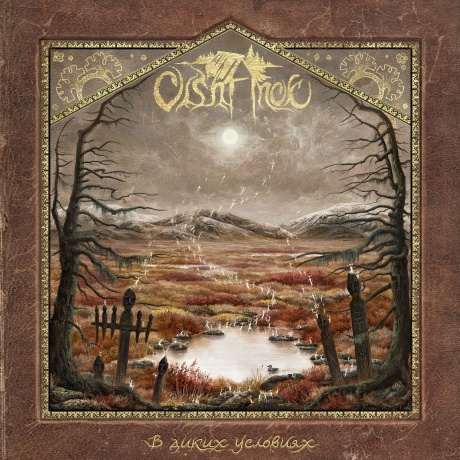 В Диких Условиях