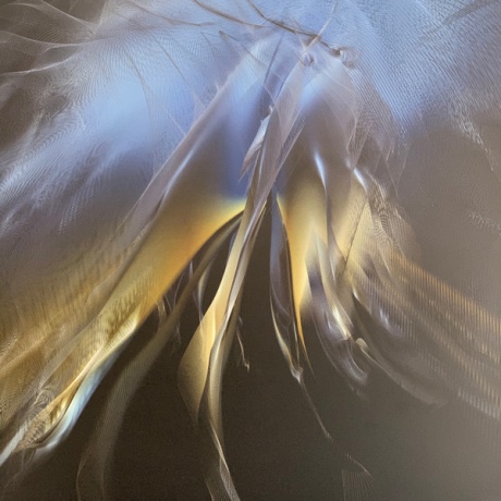 At War With Walls And Mazes