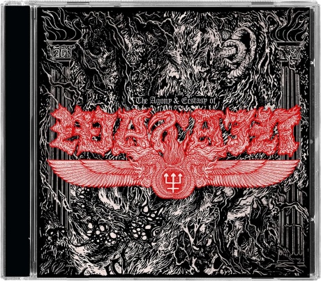 The Agony & Ecstasy Of Watain