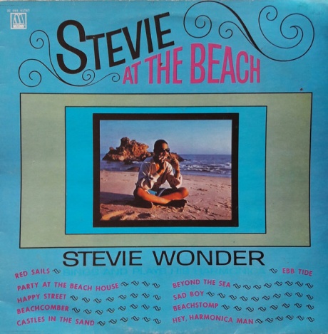 Stevie At The Beach