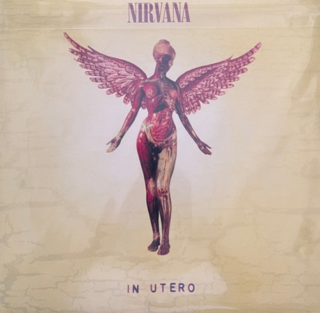 In Utero