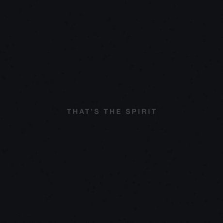 Виниловая пластинка That’s The Spirit  обложка