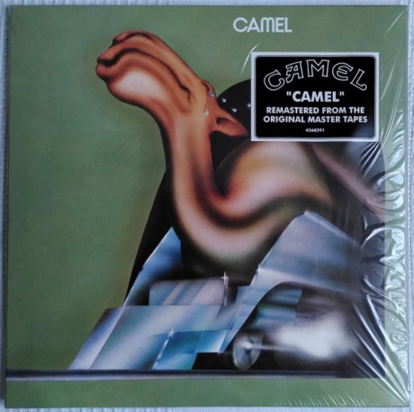 Camel