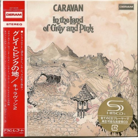 In The Land Of Grey And Pink