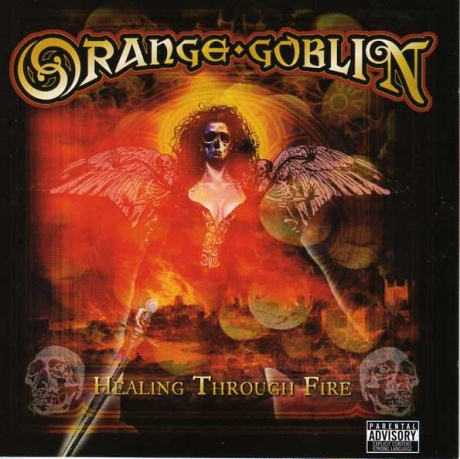 Музыкальный cd (компакт-диск) Healing Through Fire обложка