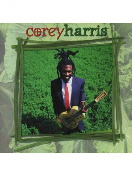 Greens From The Garden