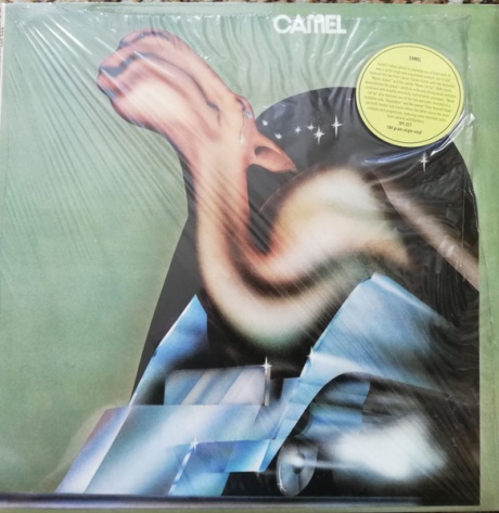 Camel