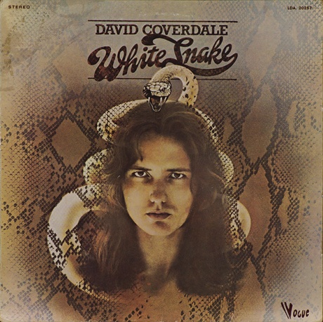 Whitesnake
