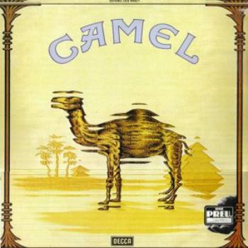 Camel
