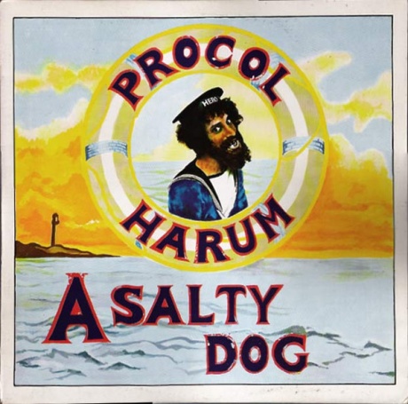A Salty Dog