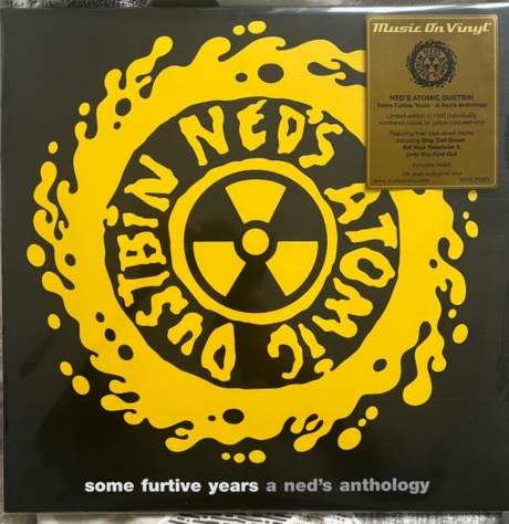 Some Furtive Years: A Ned'S Anthology