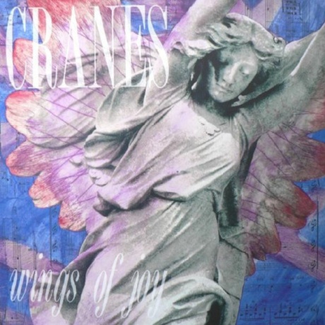 Wings Of Joy