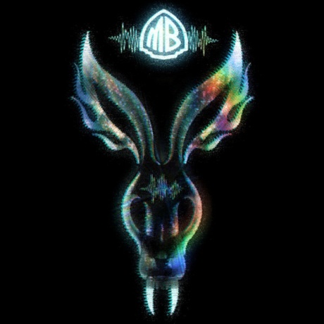 The Night They Came Home