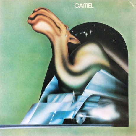 Camel