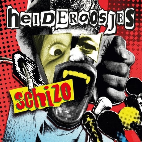 Виниловая пластинка Schizo  обложка