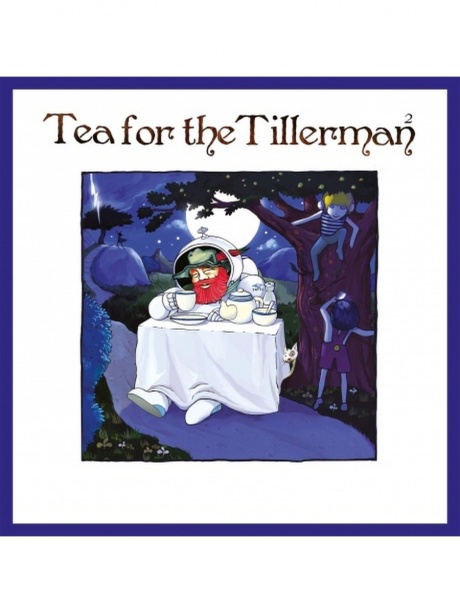 Музыкальный cd (компакт-диск) Tea For The Tillerman обложка