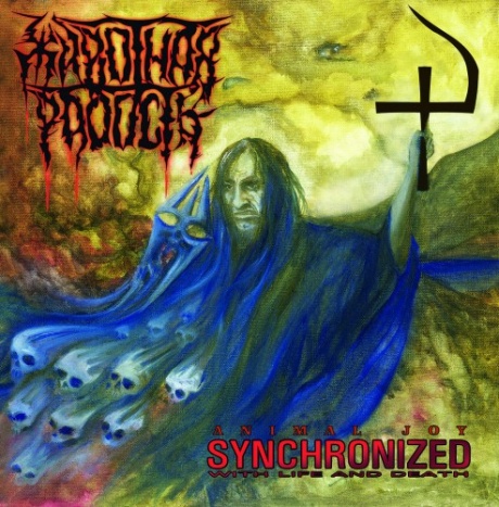 Музыкальный cd (компакт-диск) Synchronized With Life And Death обложка