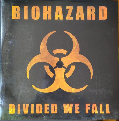 Виниловая пластинка Divided We Fall  обложка
