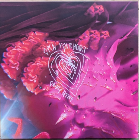 Open Your Heart Or Die Trying