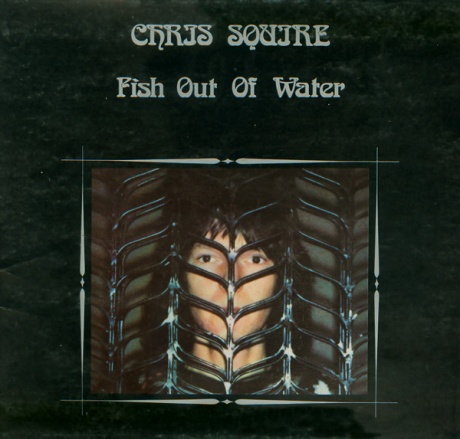 Fish Out Of Water