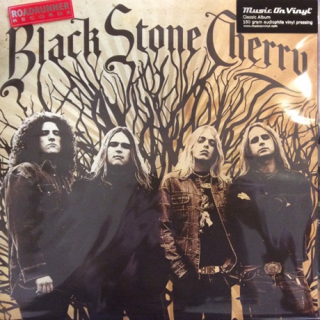 Black Stone Cherry