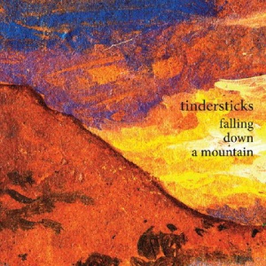 Музыкальный cd (компакт-диск) Falling Down A Mountain обложка