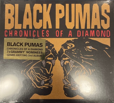 Chronicles Of A Diamond