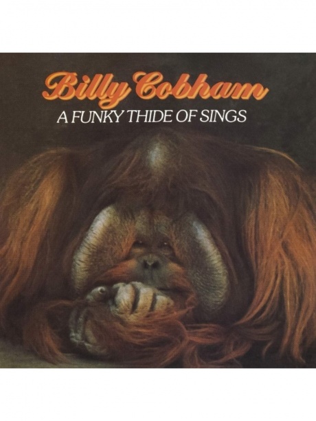 A Funky Thide of Sings