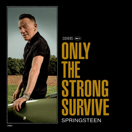 Музыкальный cd (компакт-диск) Only The Strong Survive (Covers Vol. 1) обложка