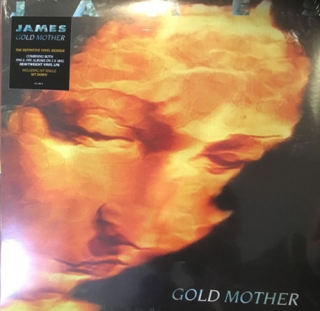 Виниловая пластинка Gold Mother  обложка