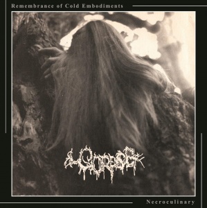 Музыкальный cd (компакт-диск) Remembrance Of Cold Embodiments / Necroculinary обложка
