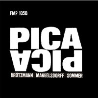 Музыкальный cd (компакт-диск) Pica Pica обложка