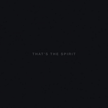 Виниловая пластинка That’s The Spirit  обложка