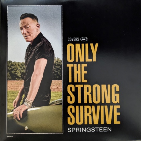 Виниловая пластинка Only The Strong Survive  обложка