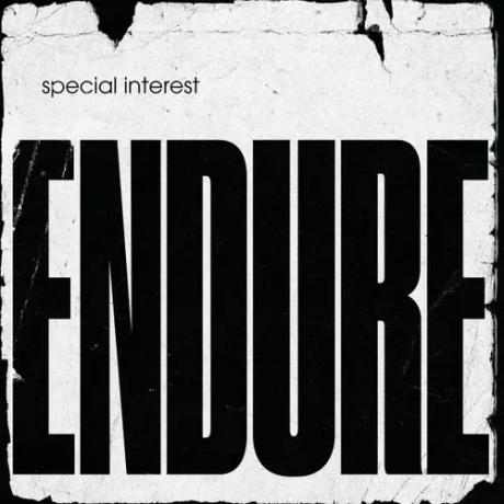 Виниловая пластинка Endure  обложка