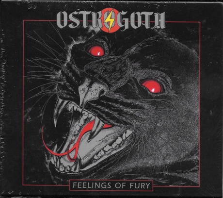 Feelings Of Fury