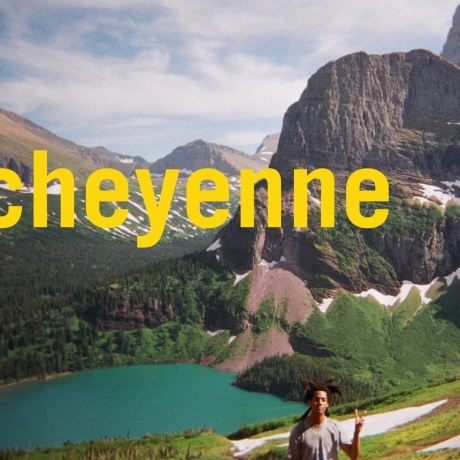 Виниловая пластинка Cheyenne  обложка
