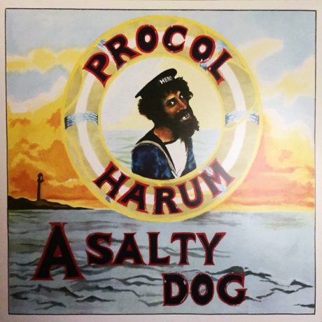 A Salty Dog