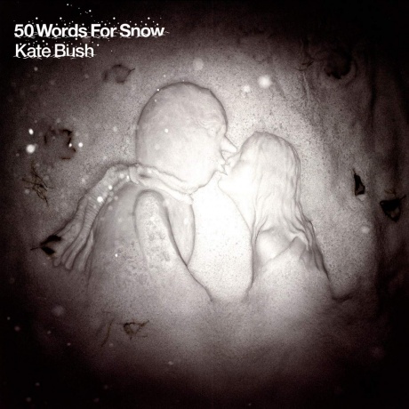 Виниловая пластинка 50 Words For Snow  обложка