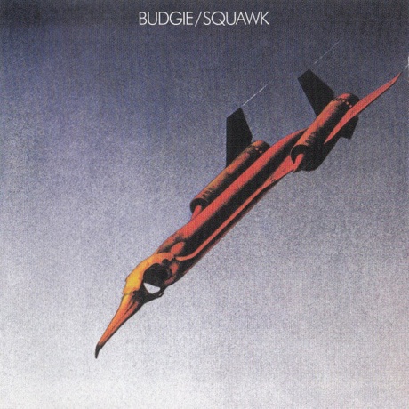Squawk