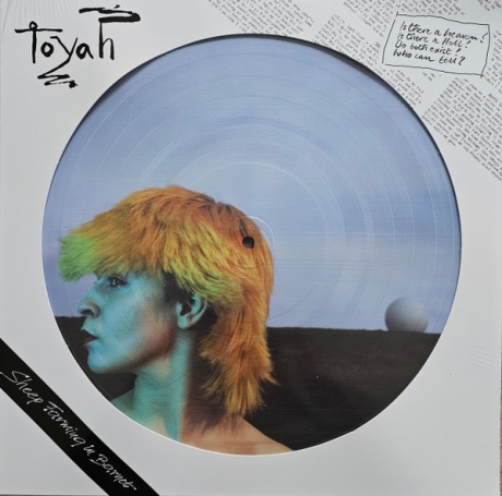 Sheep Farming In Barnet