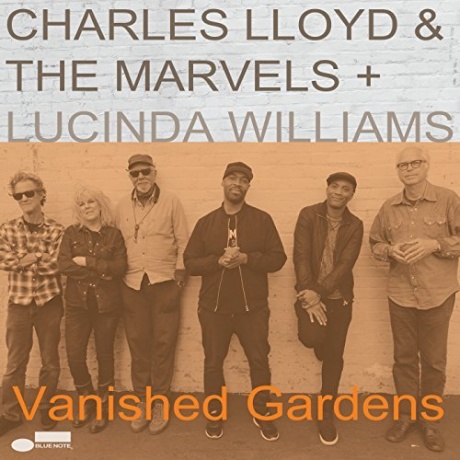 Музыкальный cd (компакт-диск) Vanished Gardens обложка