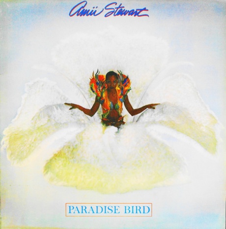  Paradise Bird