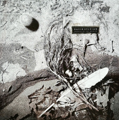 Secrets Of The Beehive