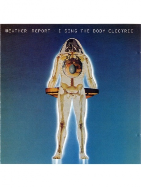 Музыкальный cd (компакт-диск) I Sing The Body Electric обложка