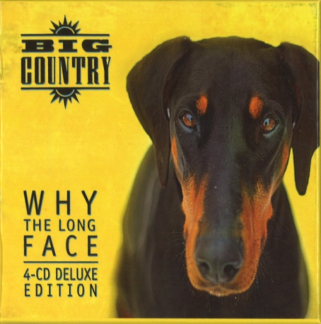 Why The Long Face