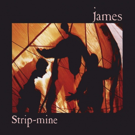 Музыкальный cd (компакт-диск) Strip-Mine обложка