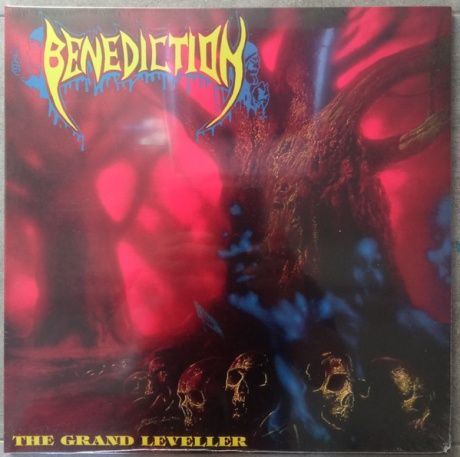 Виниловая пластинка The Grand Leveller  обложка